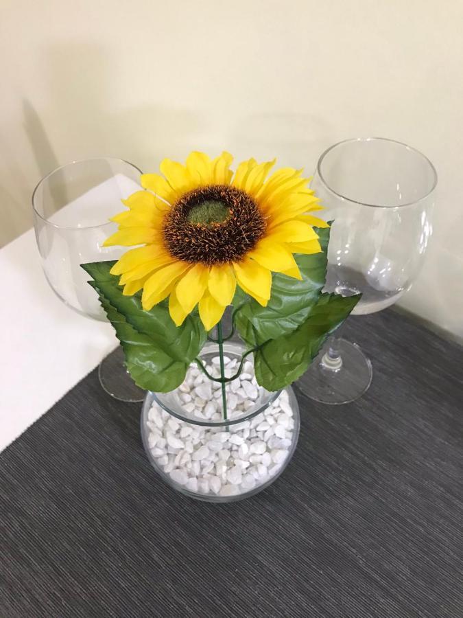 Apartment Sunflower021 Новий Сад Екстер'єр фото